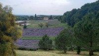 /album/pannonhalma/358152859-269391339017414-5309676375939163646-n-jpg/