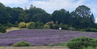 /album/pannonhalma/358165844-1072753300527746-5143918793392646218-n-jpg/